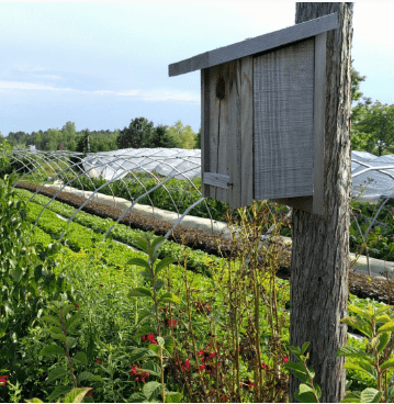 biodiversite