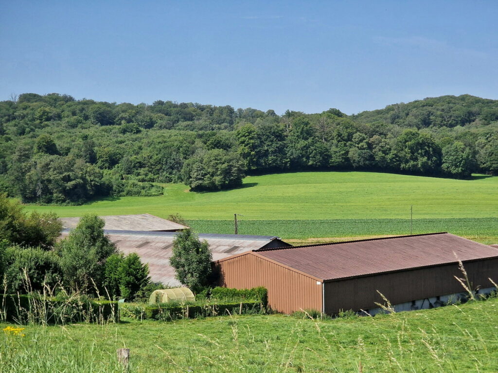 Ferme